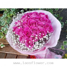 19 Sweet Pink Roses