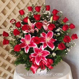 Red Flower Basket