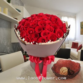 50 Red Roses