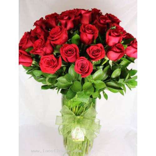 JENW-A 32” Red Rose Stems