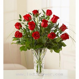 15 Red Roses